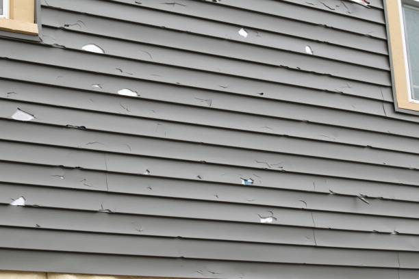 Professional Siding Installation & Repair in Appleton, WI