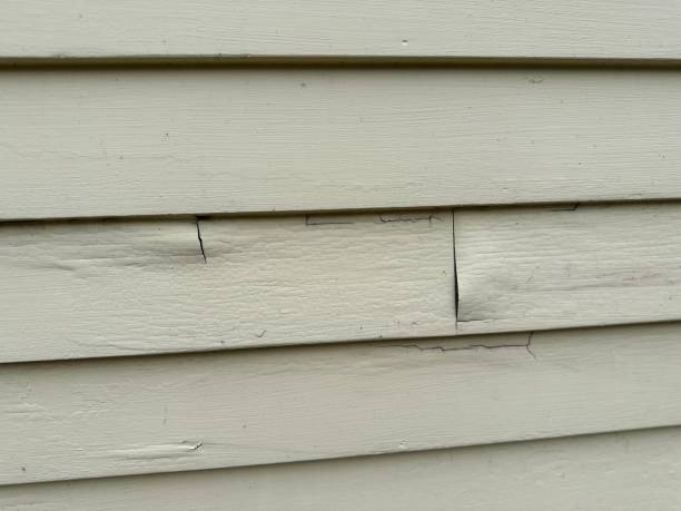 Best Wood Siding Installation  in Appleton, WI